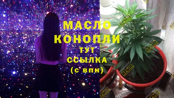 ПСИЛОЦИБИНОВЫЕ ГРИБЫ Новозыбков