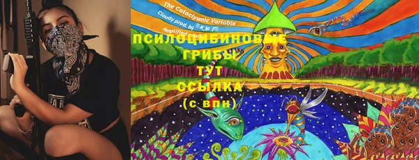 твердый Володарск