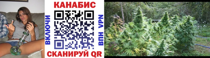 Купить где  Котово  Бошки Шишки марихуана 